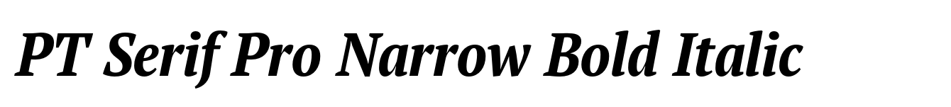 PT Serif Pro Narrow Bold Italic